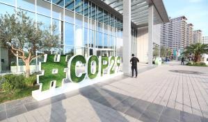 OMS: la lucha contra el cambio climático puede salvar 2 millones de vidas al año