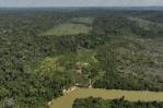 La deforestación en la Amazonía de Brasil sigue a la baja y cae otro 31 % en el último año La deforestación en la Amazonía de Brasil sigue a la baja y cae otro 31 % en el último año