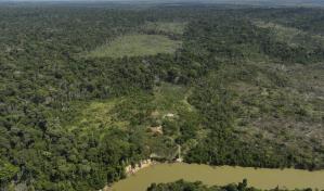 La deforestación en la Amazonía de Brasil sigue a la baja y cae otro 31 % en el último año