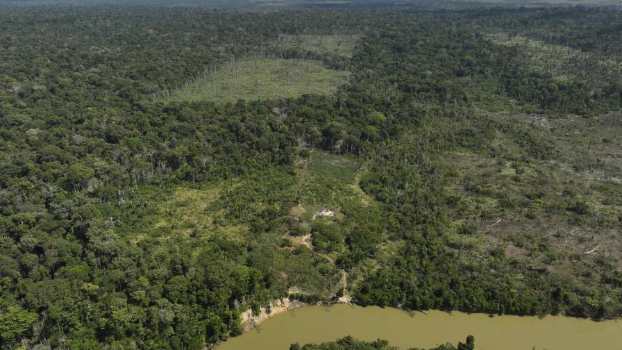 La deforestación en la Amazonía de Brasil sigue a la baja y cae otro 31 % en el último año