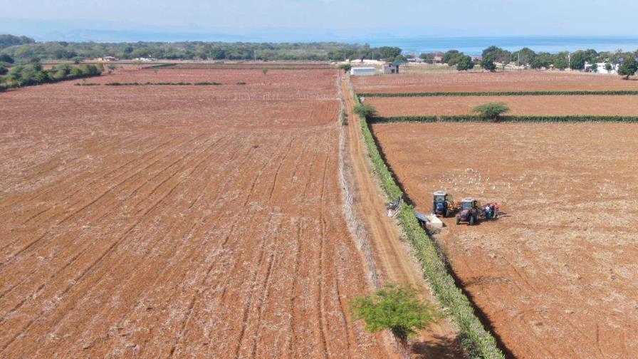 La superficie agrícola crece en el país, pero no así la productividad, según el BID La superficie agrícola crece en el país, pero no así la productividad, según el BID