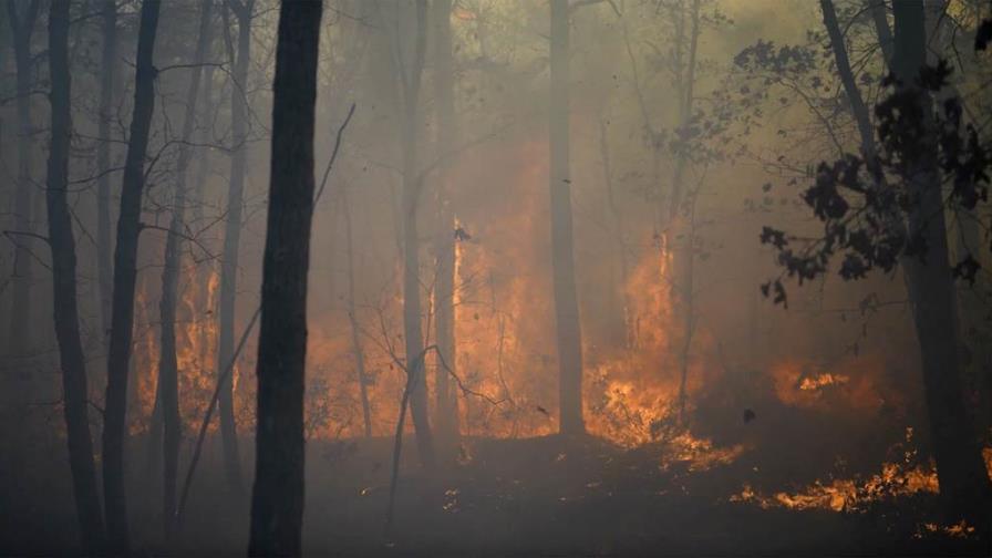 Los bomberos avanzan en la lucha contra los incendios forestales en Nueva Jersey