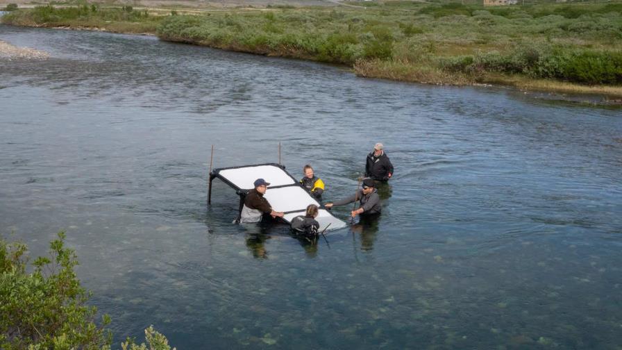 Innovaciones tecnológicas contra el cambio climático y la pérdida de biodiversidad