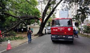 Alcaldía del DN cierra los parques tras fuertes lluvias