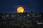 Esta semana será la cuarta y última Superluna del año Esta semana será la cuarta y última Superluna del año