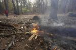 Bomberos combaten incendios en ambas costas de Estados Unidos