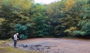 La contaminación de la Primera Guerra Mundial marca el suelo francés más de un siglo después