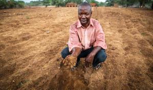 Al menos 16 millones de personas afrontan una crisis alimentaria en el sur de África