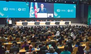 COP29 aprueba reglas para los mercados de carbono