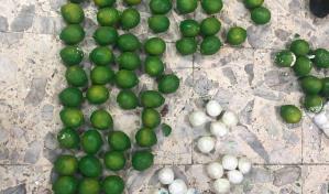 Nueva modalidad de narcotr&aacute;fico: intervienen carga con 162 limones de cer&aacute;mica rellenos de coca&iacute;na