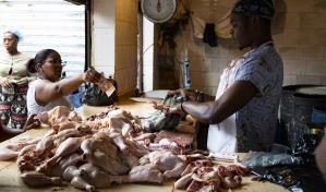 Los precios del pollo bajan hasta RD$25 pesos en los mercados