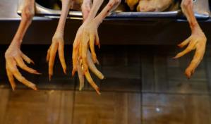 La libra de pollo congelado se podrá comprar a RD$60 en los mercados, aseguran avicultores