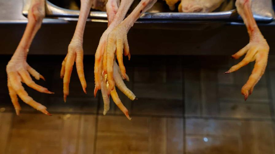 La libra de pollo congelado se podrá comprar a RD$60 en los mercados, aseguran avicultores La libra de pollo congelado se podrá comprar a RD$60 en los mercados, aseguran avicultores