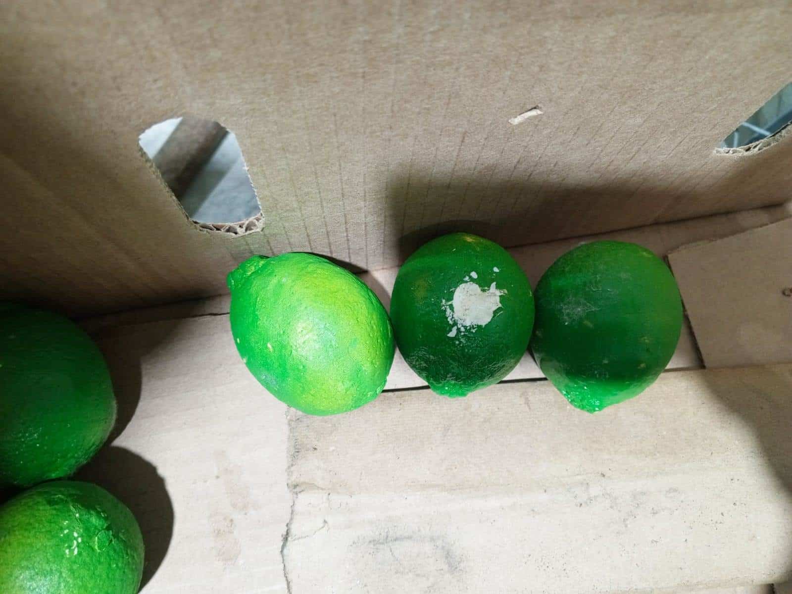 Limones de cerámica rellenos de cocaína entre carga de limones reales. <br>