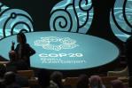 Cop29: los países aprueban normas globales para regular el mercado de carbono