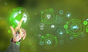 El uso de inteligencia artificial para clasificar a solicitantes de asilo preocupa a las ONG