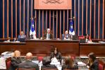 Senado aprueba en primera discusión modificaciones a la ley DNI