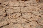 Neoyorquinos llamados a ahorrar cada gota de agua en medio de peor sequía en 150 años