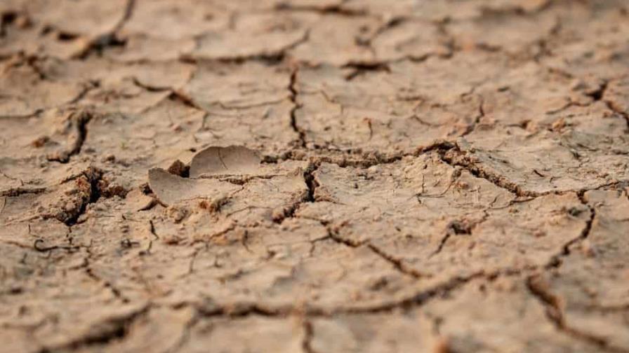 Neoyorquinos llamados a ahorrar cada gota de agua en medio de peor sequía en 150 años