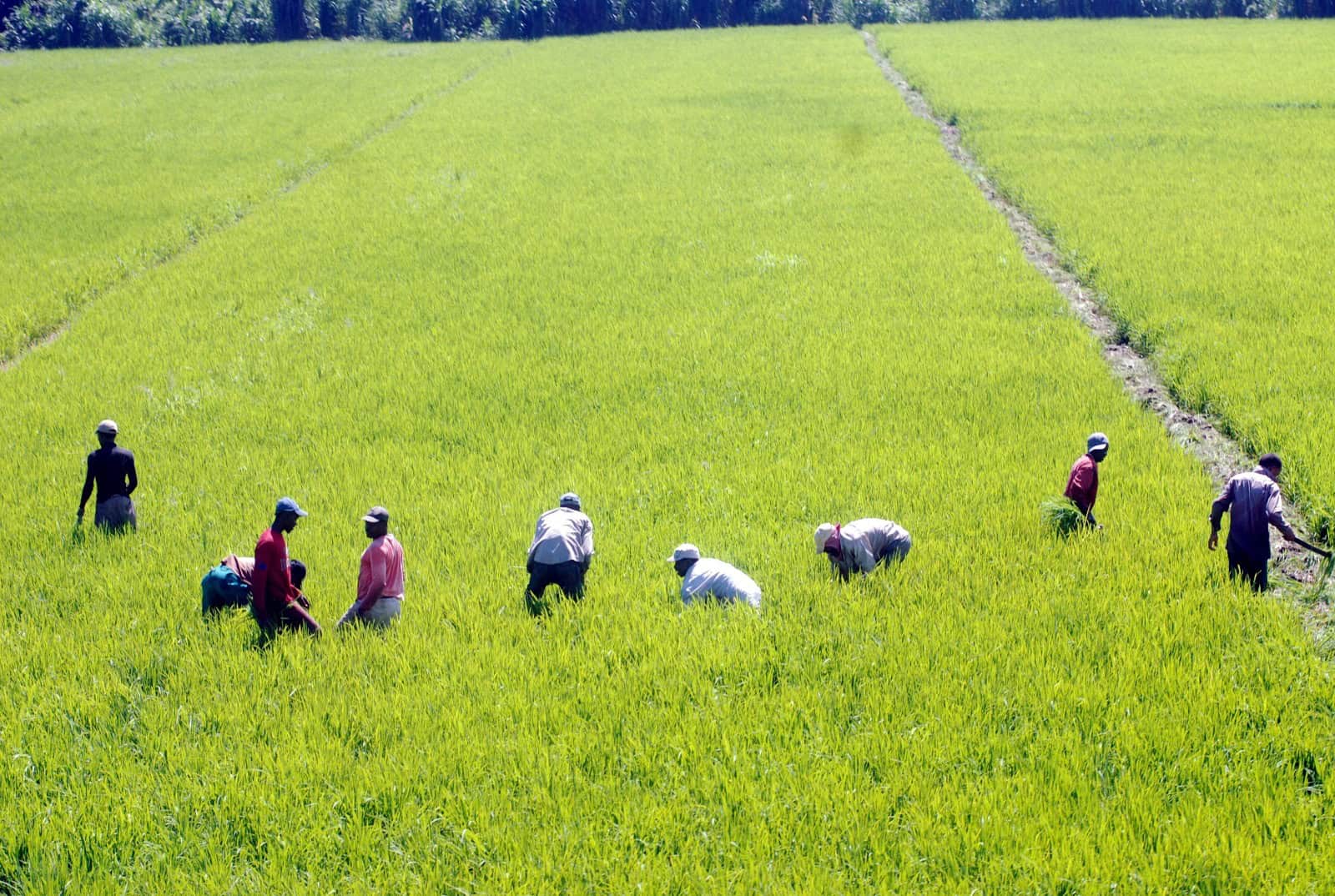 [object HTMLTextAreaElement]