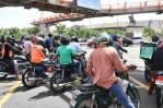 La mayoría de los motoristas transitan sin seguro, según la Cadoar La mayoría de los motoristas transitan sin seguro, según la Cadoar