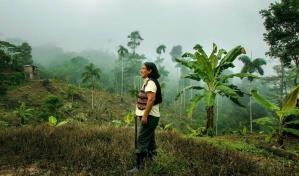 El café, el té y el cacao disparan la factura mundial de las importaciones más de 2 billones