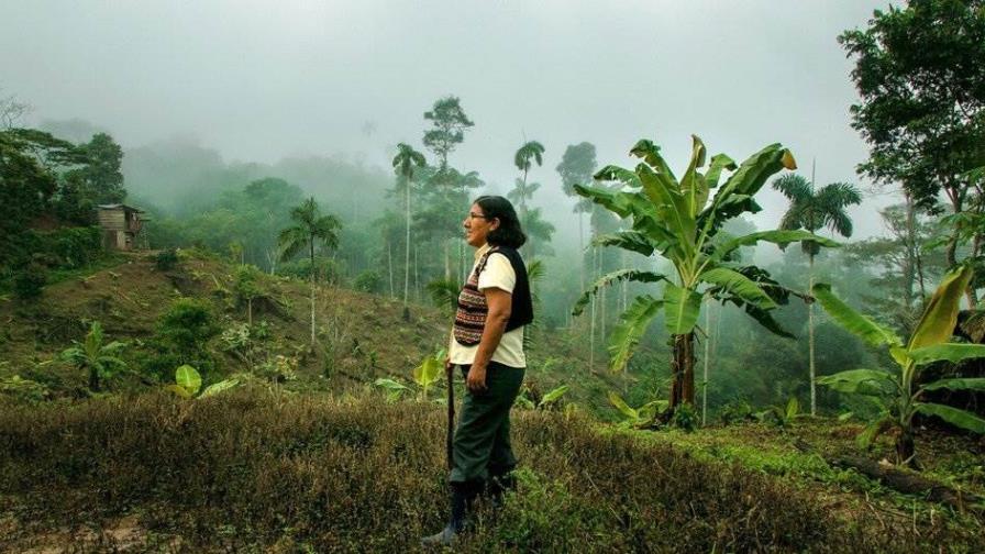 El café, el té y el cacao disparan la factura mundial de las importaciones más de 2 billones