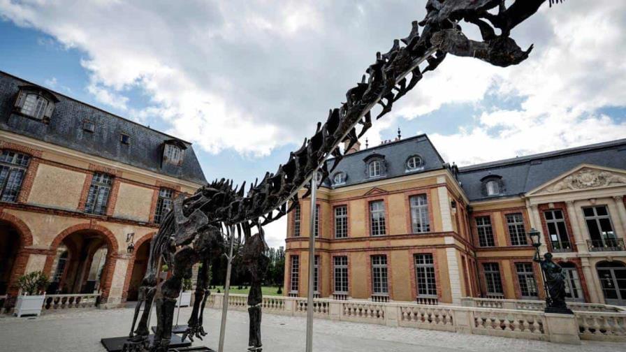 Vulcain, el esqueleto gigante de dinosaurio se vendió por 6 millones de euros en Francia