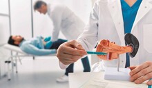 Descubrimiento cient&iacute;fico abre nuevas posibilidades para tratar el c&aacute;ncer de p&aacute;ncreas