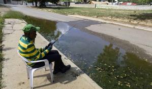 Charco con lama verde detrás de la Fortaleza de Mao