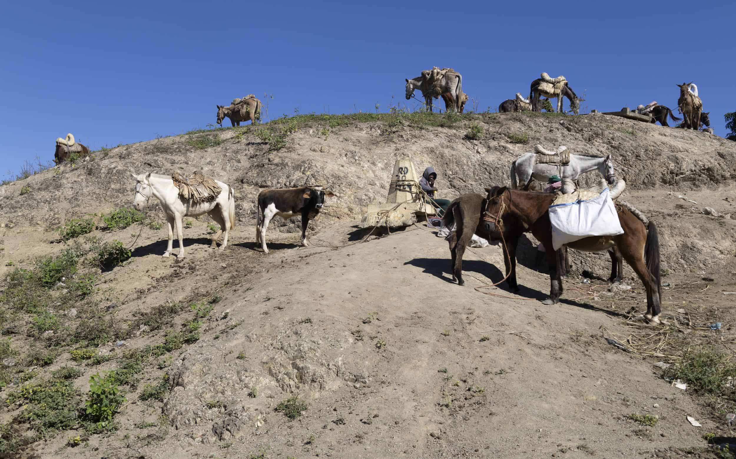 Montaña que sirve de parqueo para burros y caballos.