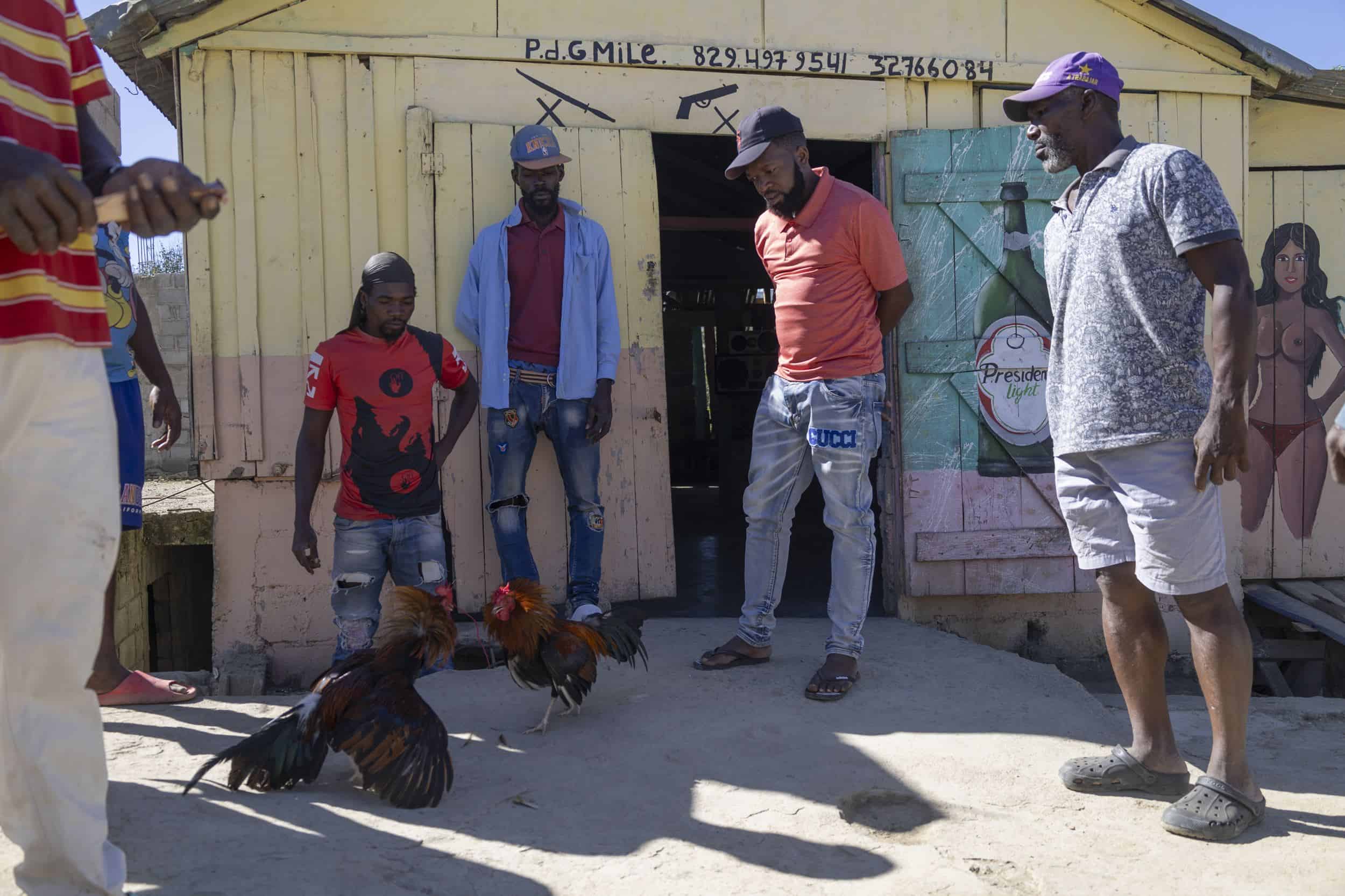 Haitianos de Tilory, atentos a la pelea de gallos.