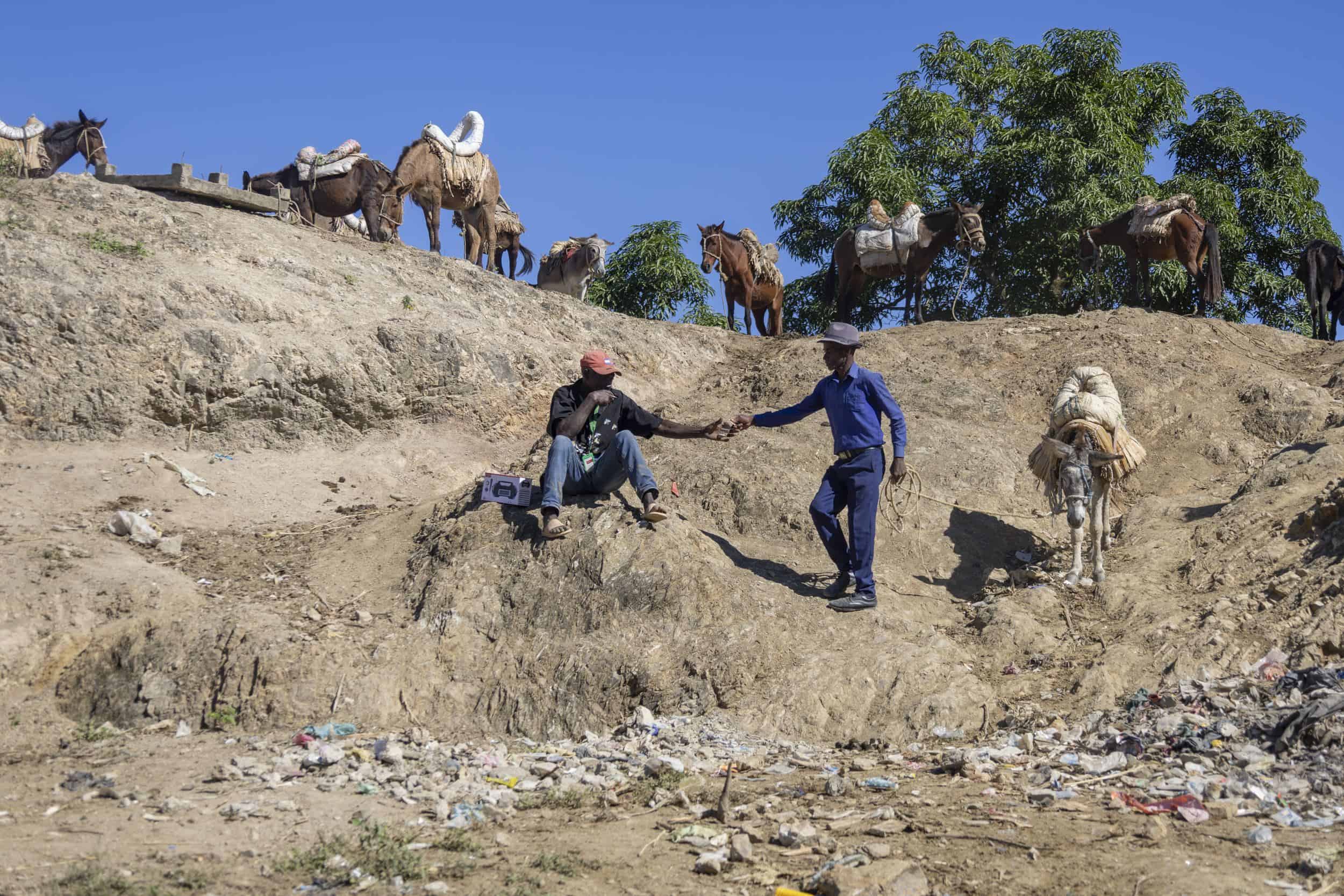 Un cuidador de caballos, cobrando por un servicio.