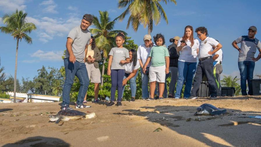 Liberación de tortugas marinas: encuentro educativo y especial para familias con niños con trastorno del espectro autista