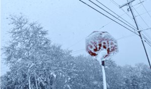 Cae lluvia y la primera nieve de la temporada en Nueva York, Nueva Jersey y Pensilvania