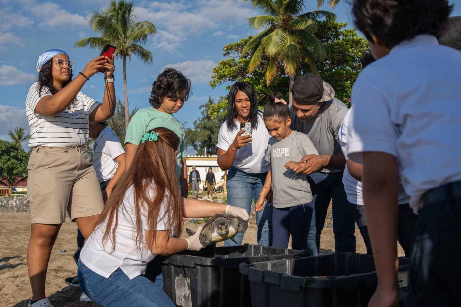 [object HTMLTextAreaElement]