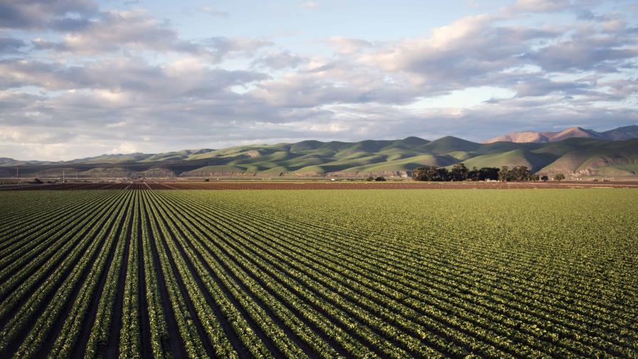 El agro americano demostró en COP29 su relevancia ambiental y alimentaria, dice el IICA