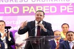 Johnny Pujols dice que reducci&oacute;n de fondos a partidos atenta contra equilibrio democr&aacute;tico