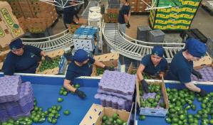 Mexicanos preocupados por las amenazas de fijar aranceles de Trump