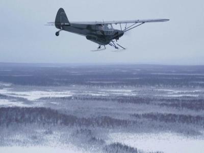 Mujer lleva pavos a zonas alejadas de Alaska por Acción de Gracias