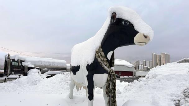 Fuertes nevadas y bajas temperaturas afectan a varias partes de Estados Unidos