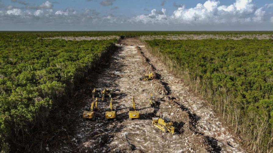 La degradación del suelo en Latinoamérica, la otra urgencia medioambiental