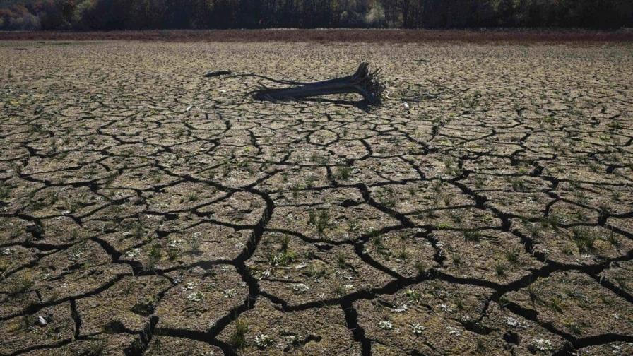 Las sequías de larga duración serán la nueva normalidad climática, advierte la ONU