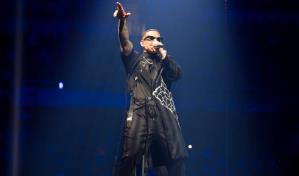 Abogada de Daddy Yankee: El divorcio es la única vía disponible"