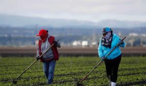 ¿Qué es la regla de la carga pública? La amenaza para los inmigrantes que revive con Trump