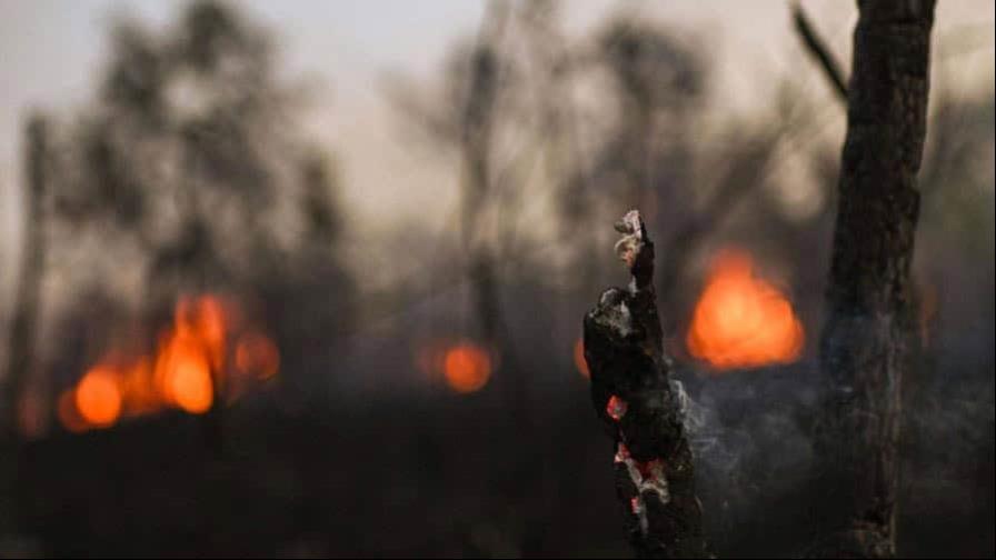 América registró incendios forestales especialmente intensos en 2024, según Copernicus