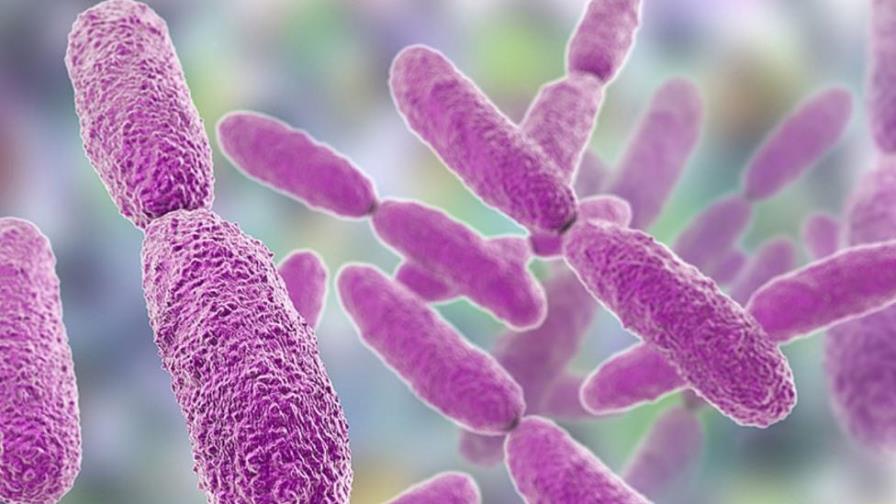 Mueren 13 niños en el Estado de México posiblemente por la bacteria Klebsiella oxytoca