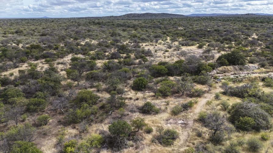 COP16 lanza guía para medir las empresas riesgos de degradación de las tierras del mundo