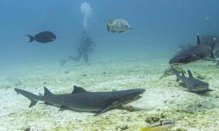 Ecuador canjea parte de su deuda a cambio de la protección de la Amazonía