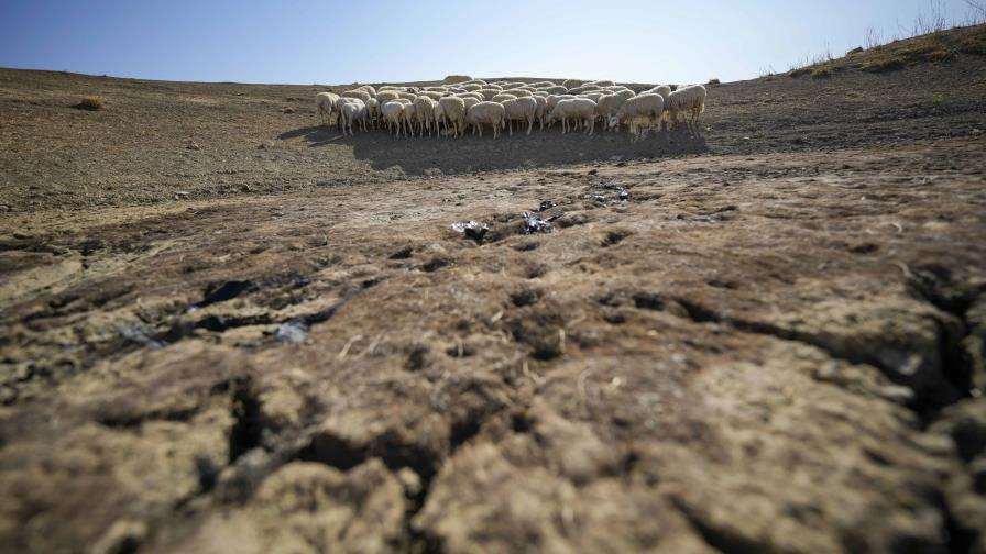 Las tierras del planeta se secan; naciones buscan soluciones en reuniones esta semana